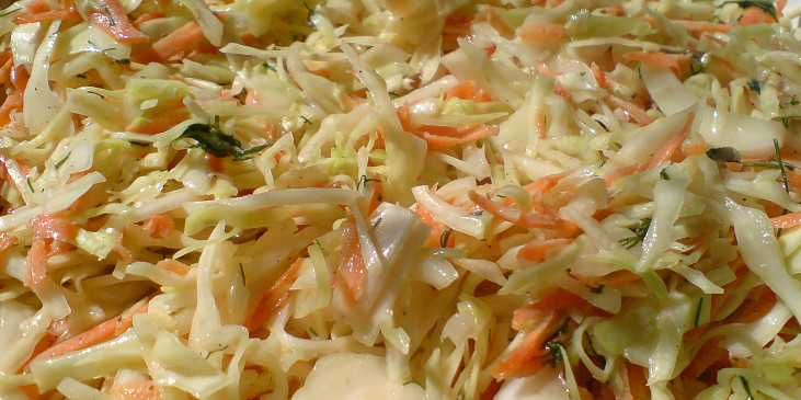 Coleslaw v light verzi