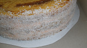 Dort mandarinkový s kytičkama a s alginátovým ovocem, krémem pomažeme boky dortu a posypeme kokosem