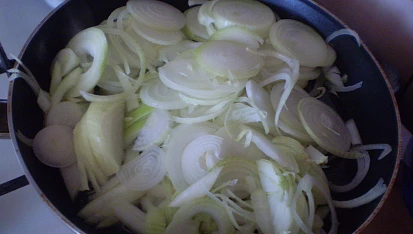 Jídlo pro vegetariány, Cibuli osmažíme