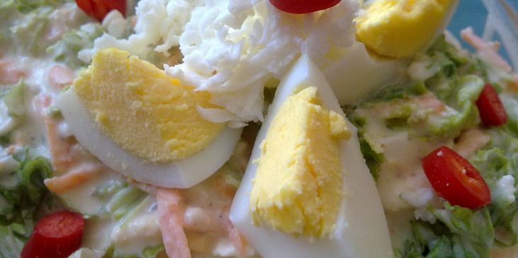 Kadeřavý  salát  s mozzarellou, jogurty, mrkví a vejci