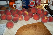 spadané broskve