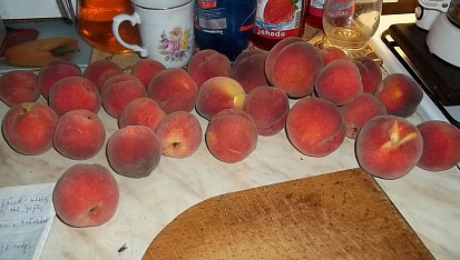 Kompot z oloupaných broskví pro další použití, spadané broskve