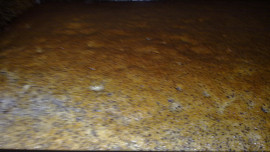 Makovo-mandlový moučník se svěží  polevou