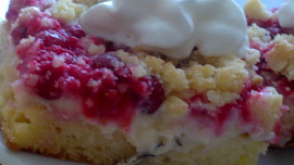 Rybízovo-jablečný koláč s tvarohem a pudingem