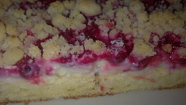 Rybízovo-jablečný koláč s tvarohem a pudingem