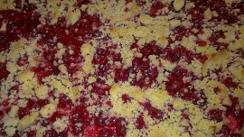 Rybízovo-jablečný koláč s tvarohem a pudingem