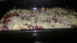 Rybízovo-jablečný koláč s tvarohem a pudingem