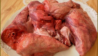 Smažené plíčky v sýrovo-bylinkovém těstíčku, plíčka v syrovém stavu