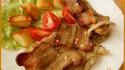 Tilapie na alsaský způsob, štikozubec s gazdovskou slaninou