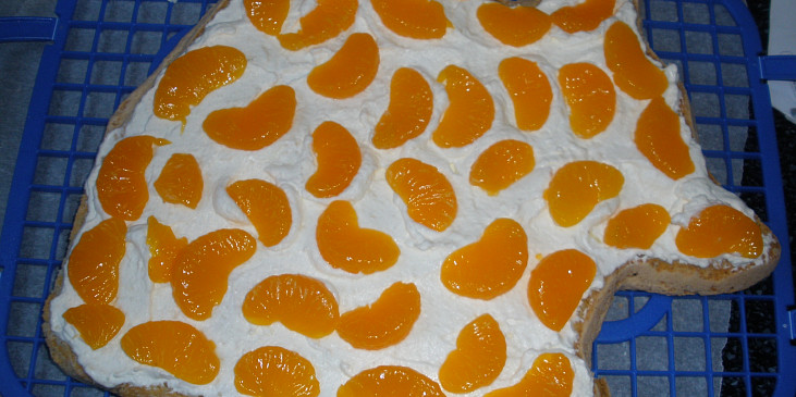 proříznem, pomažeme šlehačkou se ztužovačem a poklademe mandarinky (2)