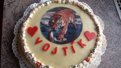 Dortíky pro děti