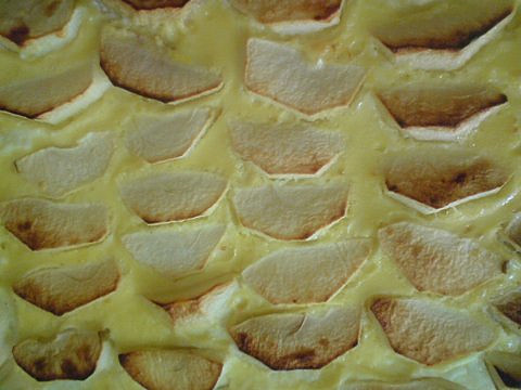 Kynutý tvarohový koláč s jablky
