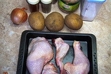 ingredience