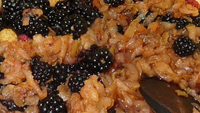 Ostružinový džus