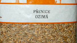 Večky ŠESTIZRNKY