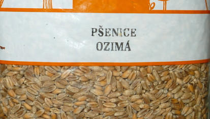 Večky ŠESTIZRNKY