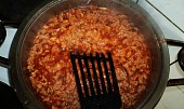 Vegetariánské špagety, granulát s kečupem a cibulkou
