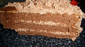 Čokoládový dort s pařížskou šlehačkou a s čokoládovým  krémem, nakrojený kousek
