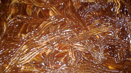 Kávové řezy s kokosovo - karamelovým krémem