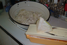 Jozefína
