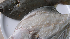 Platýs se slaninou a s wasabi krémem