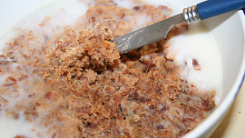 Rillettes (rijet)