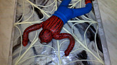 Spiderman a Miky