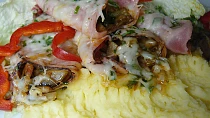 Zaječí ouška