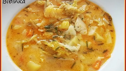 Zakysaná kapustovka