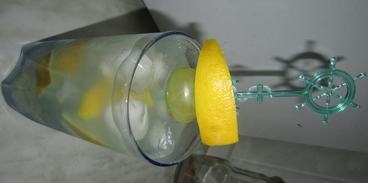 Zázvorová limonáda (dělám stejně, ale nesladím :))