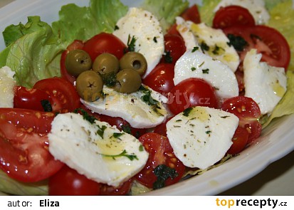 Zeleninový salát s mozzarellou