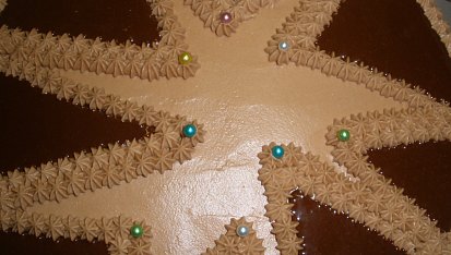 Čokoládový dort s pařížskou šlehačkou, nutellovým krémem a vynikající čokoládou