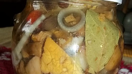 Houbová čalamáda II.