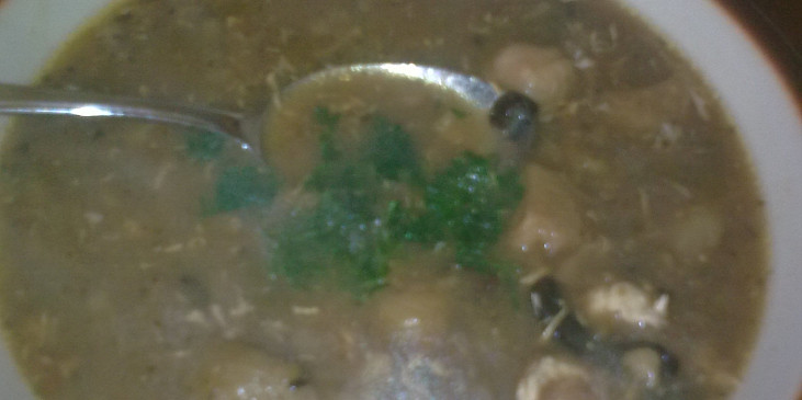 Kapustová polévka1