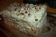 Napoleonské řezy