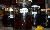 Pampeliškový med, Pampeliškový med
