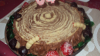 Pařez