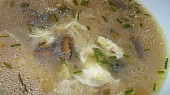 Pivní polévka Samson (Pivní polévka Samson)