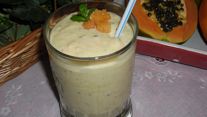 Spalovač kg