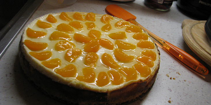 Tvarohový dort (cheesecake)