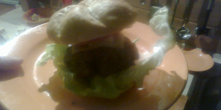 Burger Amerika