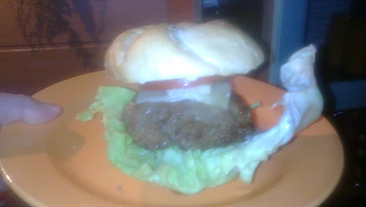 Burger Amerika