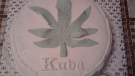 Dort pro Kubu