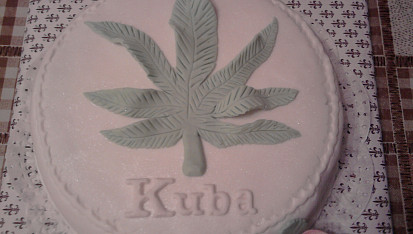 Dort pro Kubu