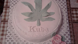 Dort pro Kubu