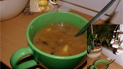 Kyselo