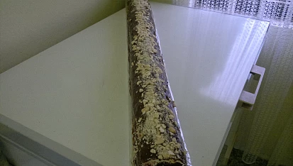 Metrové sváteční řezy, metrové sváteční řezy