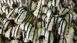 Ořechové rohlíčky strojkové