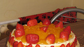 Tvarohový dort (cheesecake)