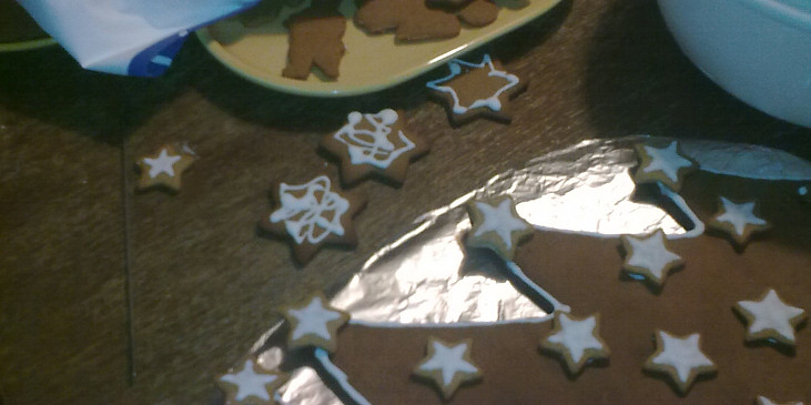 Vánoční perníkové sušenky